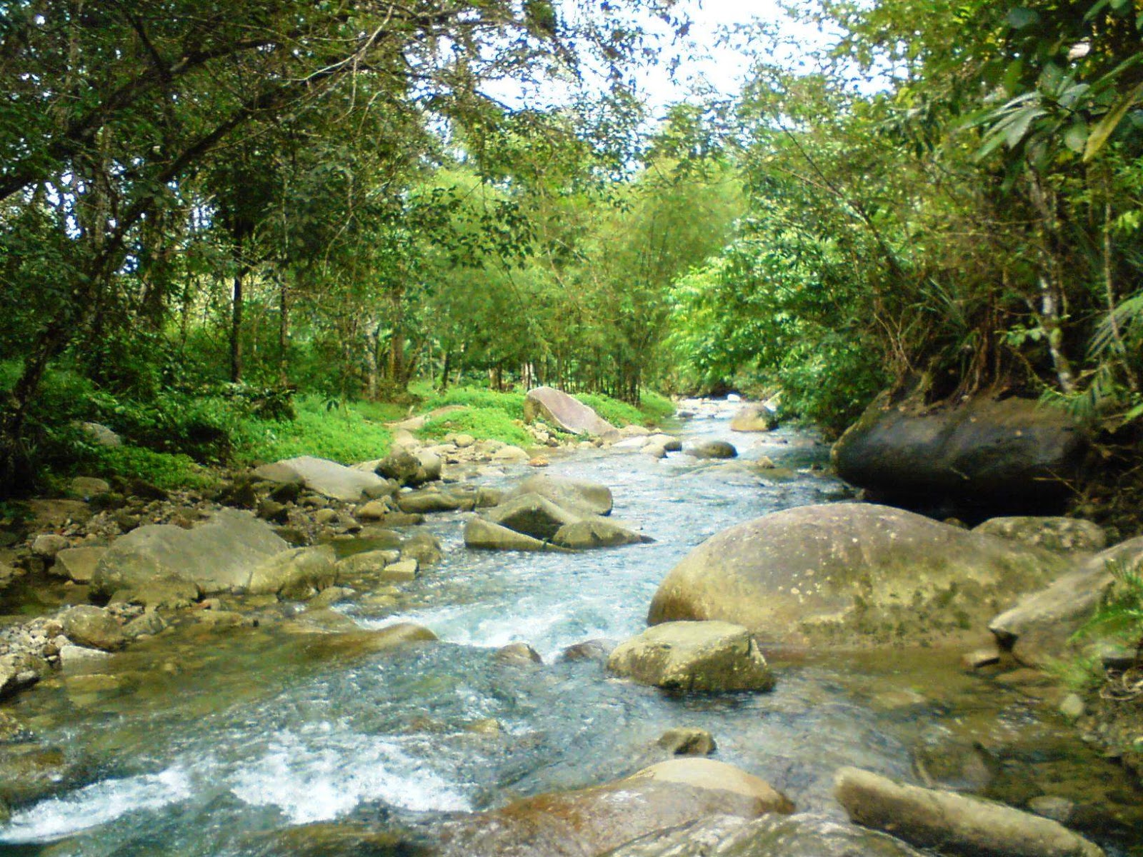 The world of Tata Pengertian Lingkungan  Alam 