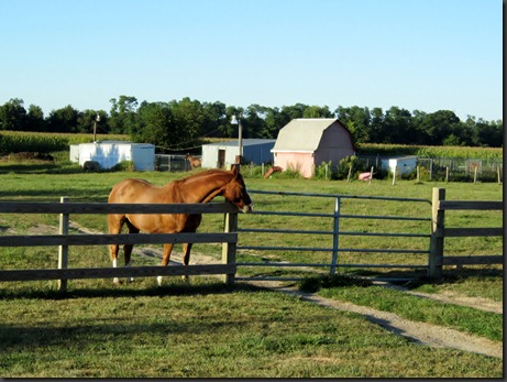 Riding Larry 027