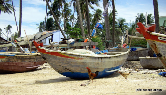 {Erin Out and About} Vietnam is Breathtaking