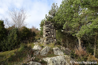 Ruta circular a serra Cavallera des de Camprodon