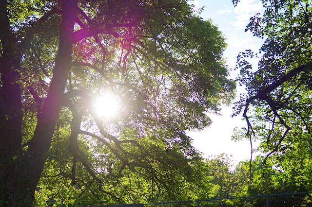 Norfolk countryside landscape photographs 2015