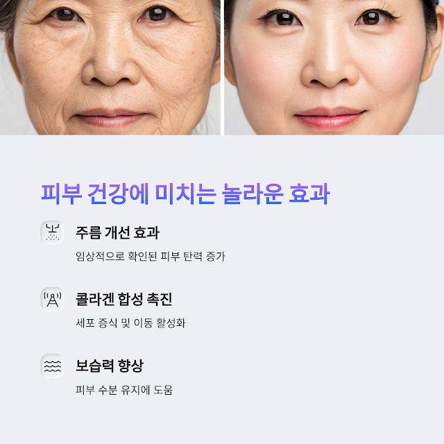 콜라겐효능