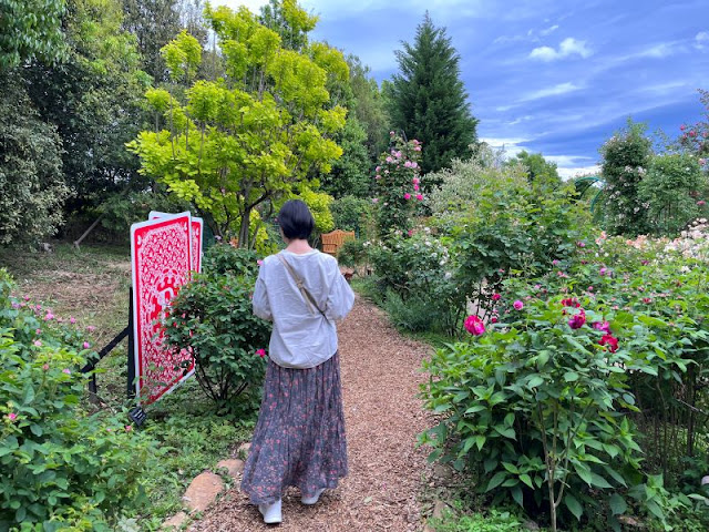 花菜ガーデンの風景