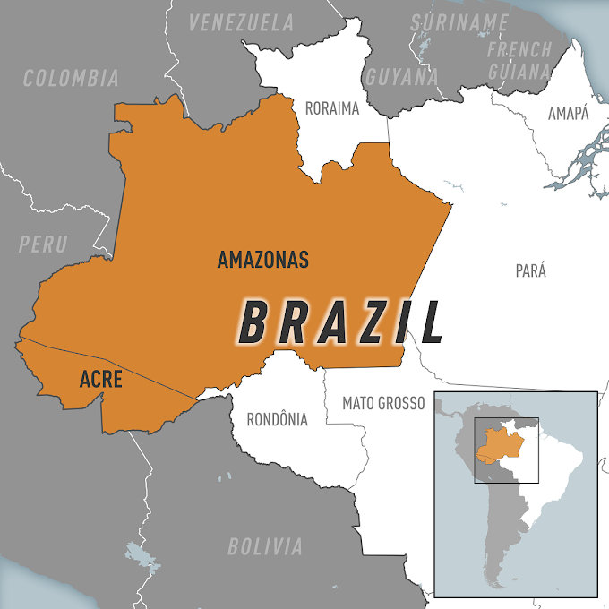 Alerta Epidemiológico: surto de Febre Oropouche nos estados amazônicos do Brasil