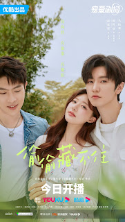 review hidden love chinese drama