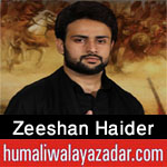 https://www.humaliwalayazadar.com/2015/07/zeeshan-haider-nohay-2006-to-2016.html