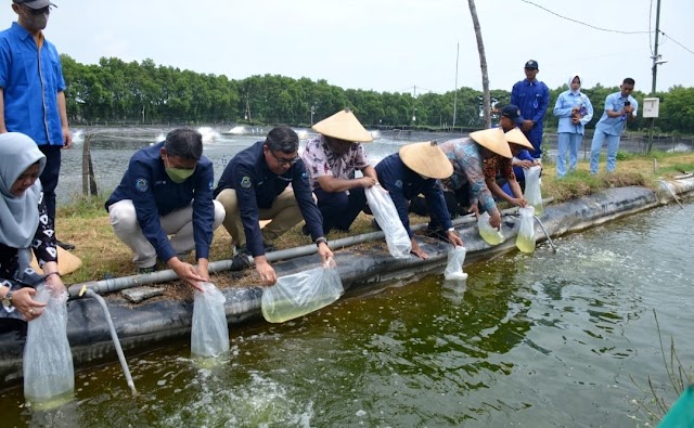 KKP Manfaatkan Aset Potensial Kembangkan SDM Kelautan dan Perikanan