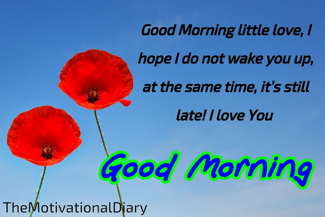 Best good morning quotes for love/Good morning quotes for friends/ Good morning quotes for love/ Good morning quotes for friends