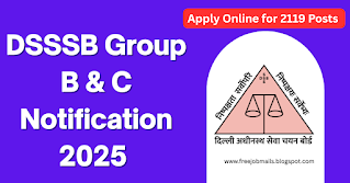 DSSSB Group B & C Notification 2025