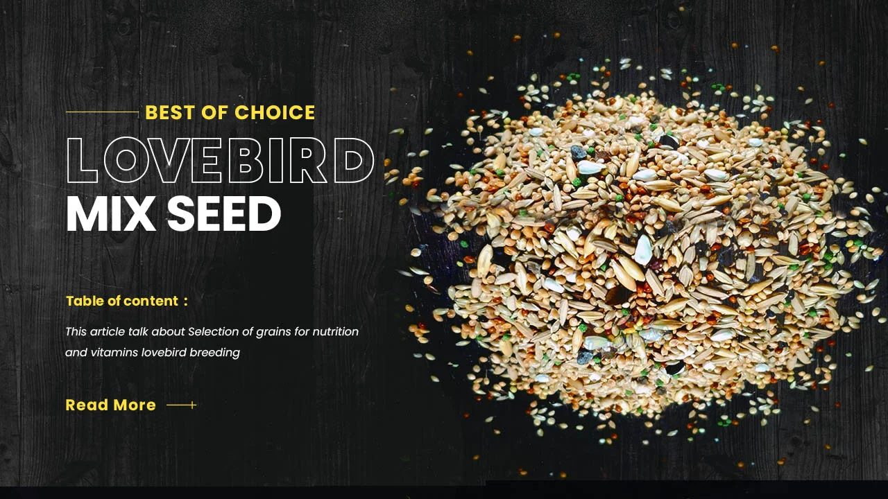 seed mix for African lovebirds