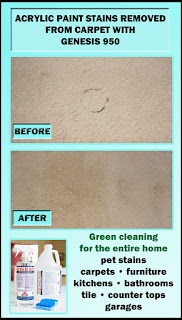 Best Carpet Cleaning Solution