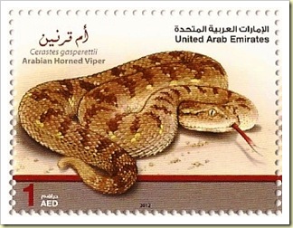 Arabian Horned Viper