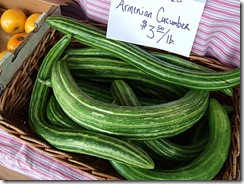 armenian_cucumber