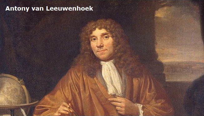 Biografi Antony van Leeuwenhoek - Penemu Mikroskop Pertama Kali