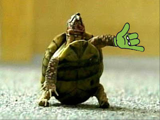 Doe de Turtle Shaka!