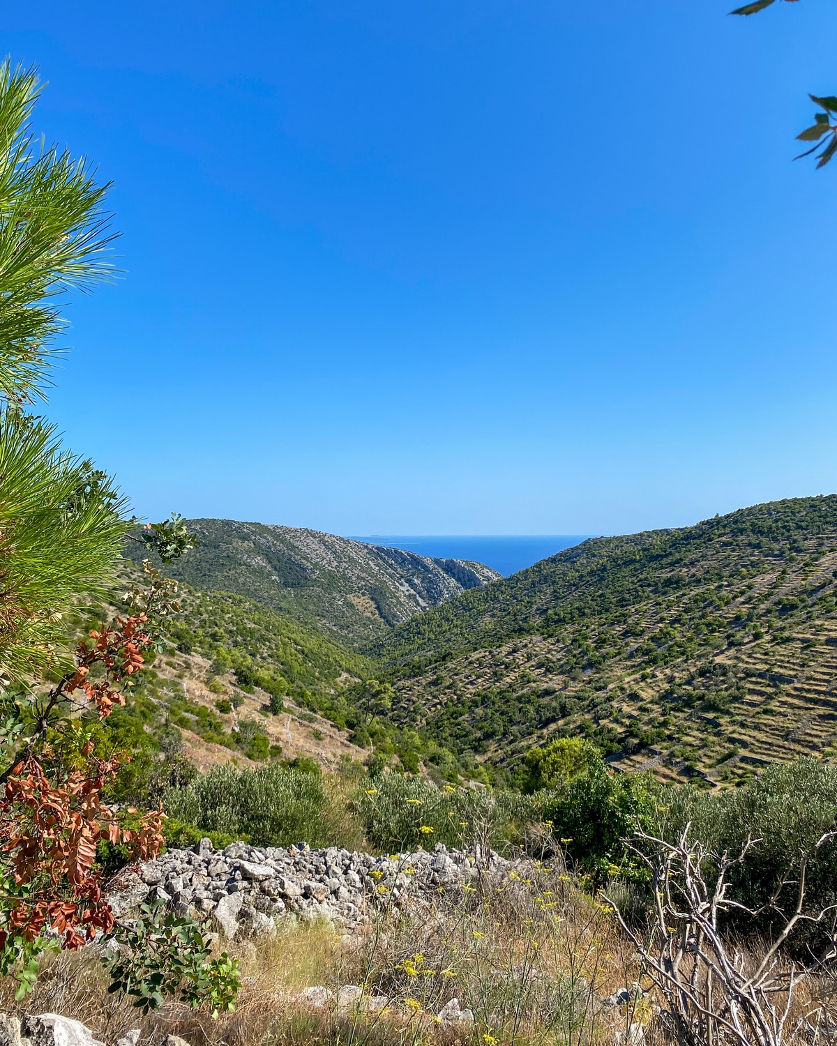 Roadtrip Around Hvar Island in Croatia