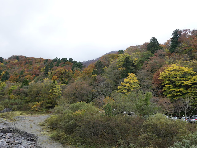 大山寺橋からの眺望