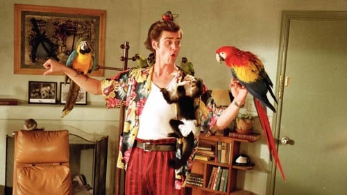 Ace Ventura, un detective diferente 1994 ver gratis en español latino