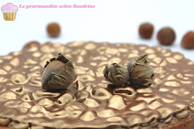 tarte-gianduja-noisette-francois-daubinet