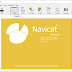 Navicat Premium 11.0.6