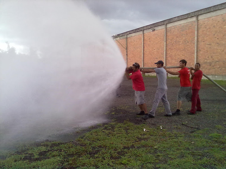 Treinamento de brigadistas ( brigada de incêndio )