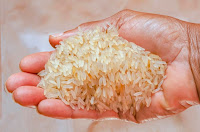 The palm of a right hand is filled with parboiled white rice