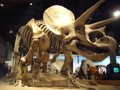 Soft tissues in dinosaur remains are a serious problem for evolutionists. Extensive testing has been conducted to simulate time and conditions to help get the whole thing nailed down better.