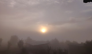 Sun breaking through the fog