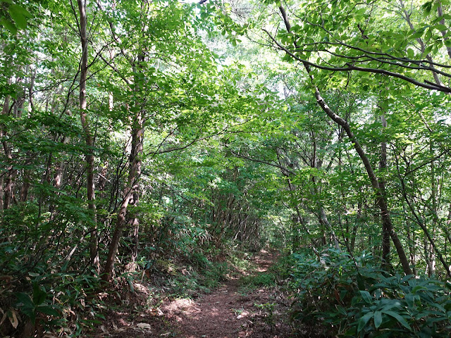 鳥取県西伯郡南部町東上の鎌倉山の中腹