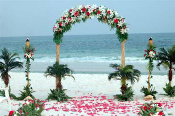 Wedding Arch Decoration Ideas