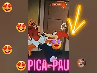 Pica-pau-picau