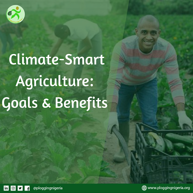 Climate-Smart Agriculture: Goals and Benefits
