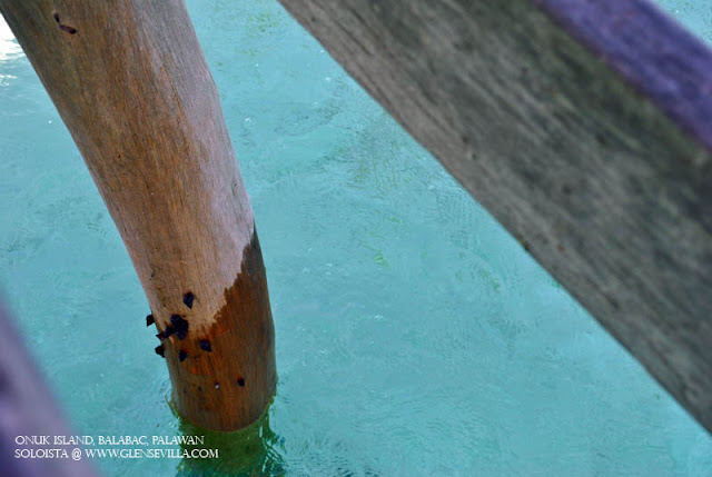 Onuk Island, Balabac, Palawan