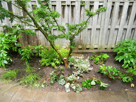 Cabbagetown Toronto shade garden makeover after by Paul Jung Gardening Services