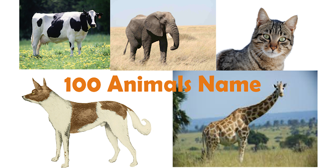 Animals Name in English and Hindi for Kids | जानवरो के नाम