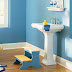 Choose The Color Of Paint For The Bathroom