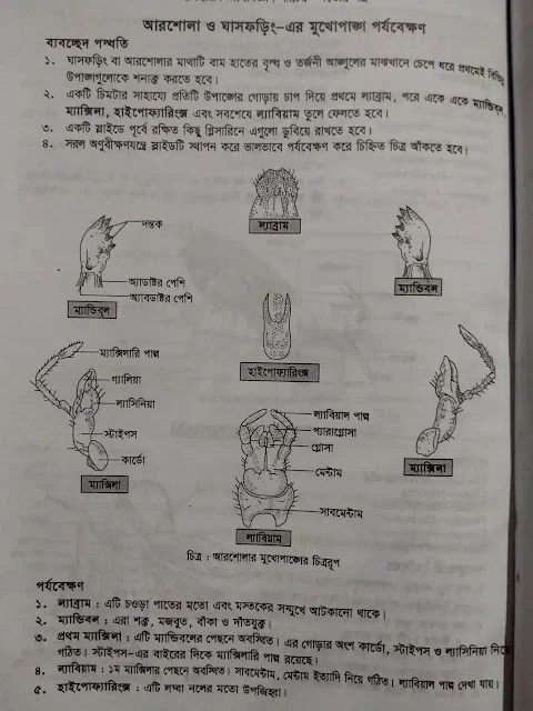 Biology 2nd paper practical HSC 2023, HSC 2023 Biology 2nd paper practical solution pdf, HSC 2023 Biology 2nd paper practical pdf