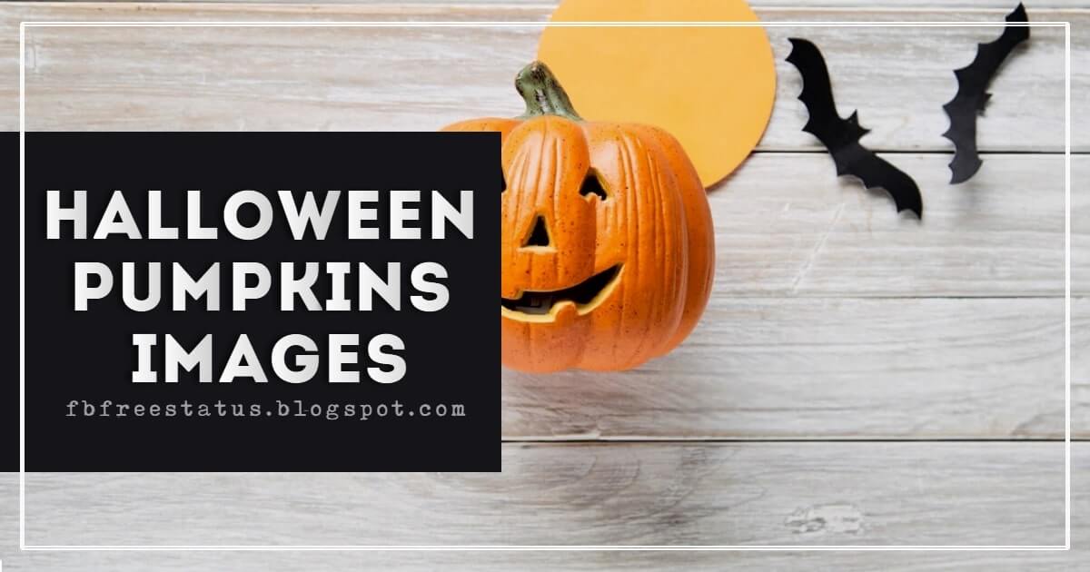 20+ Beautiful Images of Halloween Pumpkins