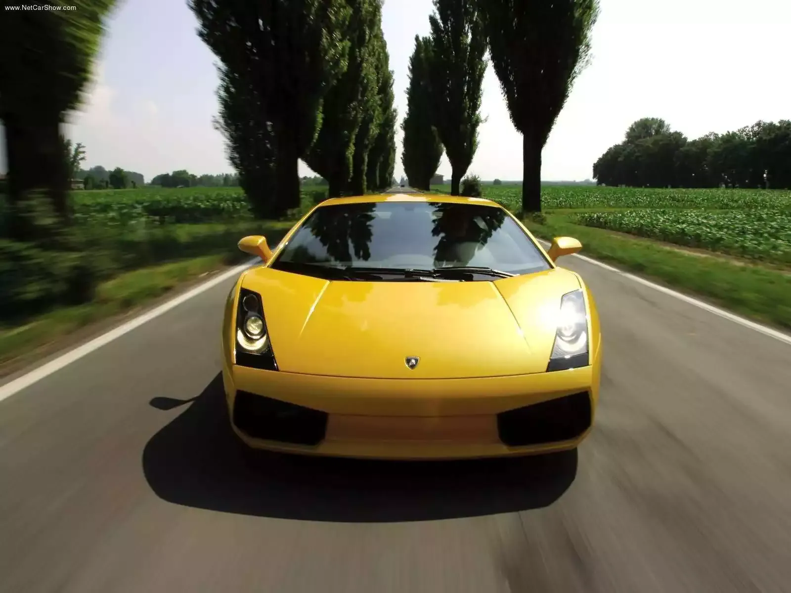 Hình ảnh siêu xe Lamborghini Gallardo 2003 & nội ngoại thất