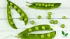 Health Benefits Of Green peas