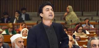 PPP's Shazia Somroo hits Murad Saeed with a headphone in the National Assembly see why ?