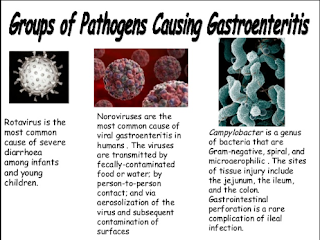 penyakit gastroentritis atau muntaber