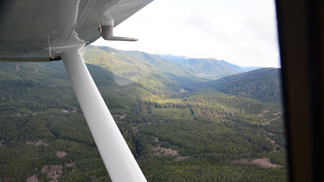 View from a WSDOT air search & rescue airplane in flight