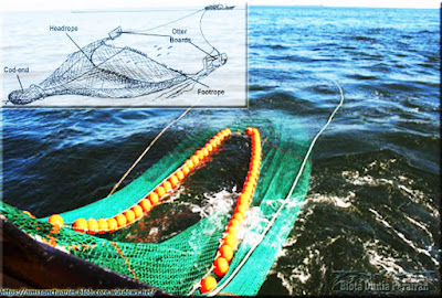 Jaring Tarik (Trawl Nets)