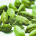 Cardamom spurted further on the report of strong export demand