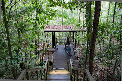 Resting place for hikers at McRitchie Reservoir forest