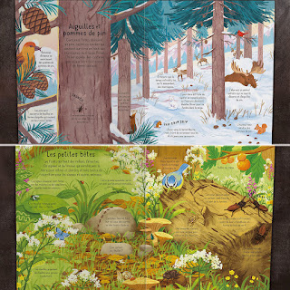 La forêt, Collection P'tits curieux Usborne, livre pour enfant de Minna Lacey et Bao Luu, Editions Usborne