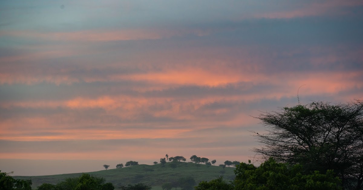 Deccan Grasslands