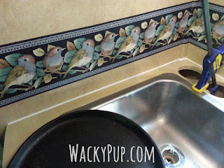 Amazing Mod for a Low Sink - End Backaches - Genius! Wacky Pup DIY Tutorials for Small Spaces