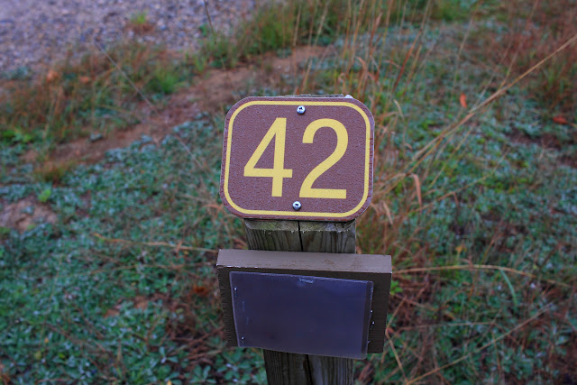 Mont-Tremblant National Park, site 42